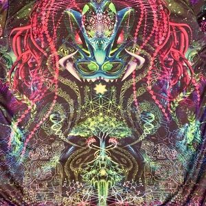 Huachuma Reversible Hoodie 2.0